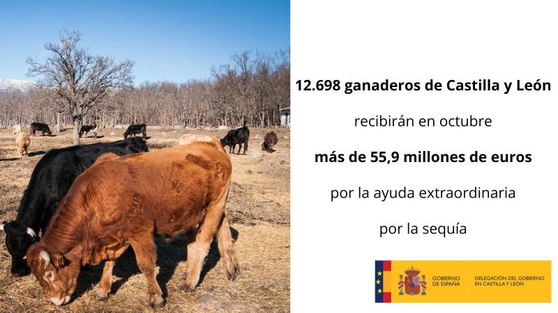 Cerca de 70.300 ganaderos recibirán en octubre más de 332 millones de euros de la ayuda extraordinaria por la sequía